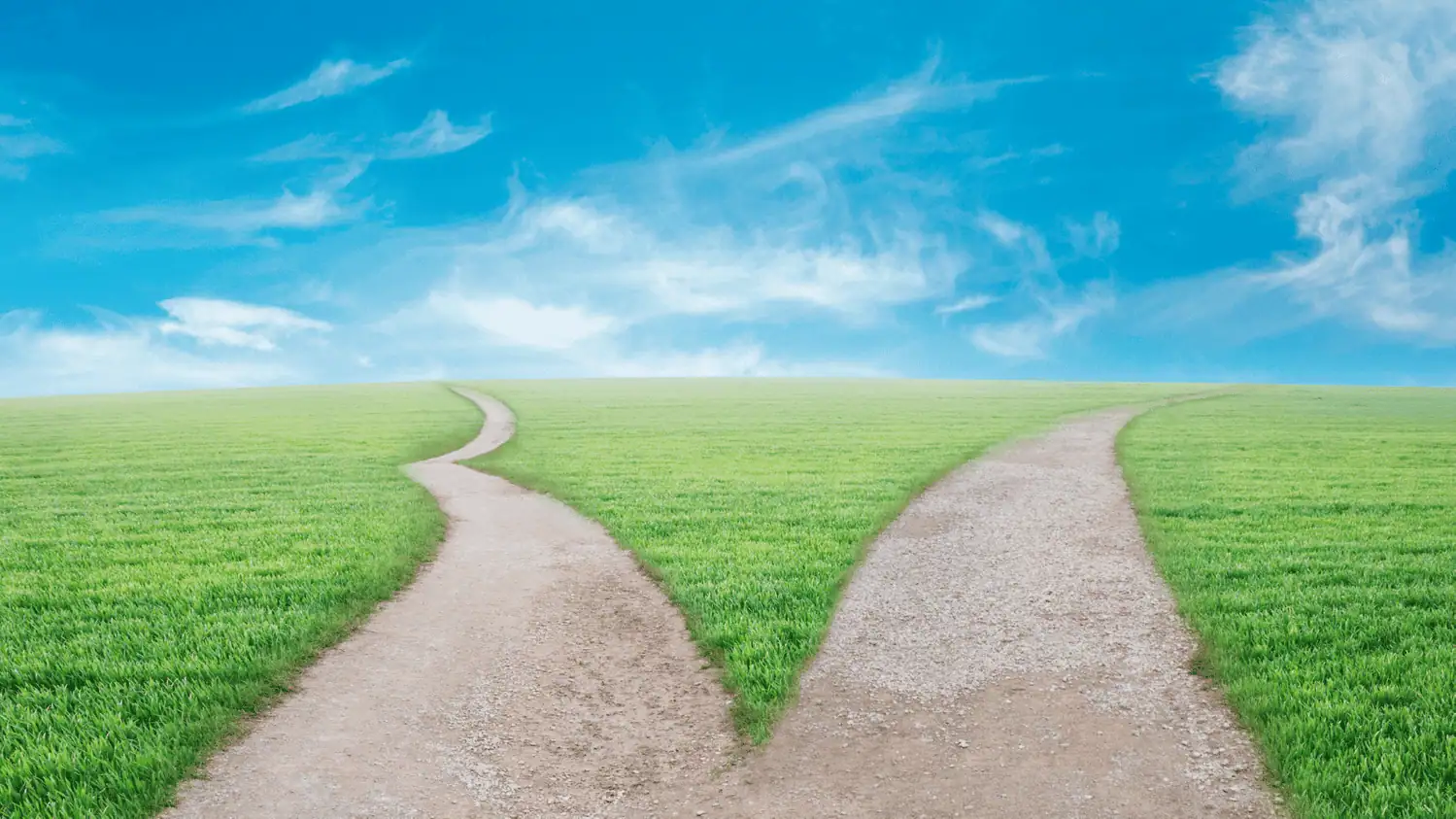 A grassy field under a blue sky with wispy clouds, where a single dirt path splits into two separate directions—a crossroads symbolizing choices for performance improvement.