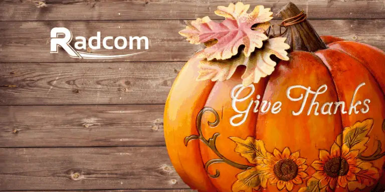 A painted pumpkin with sunflowers and leaves, featuring the words Give Thanks, sits on a wooden background. The Radcom logo appears in the upper left corner.