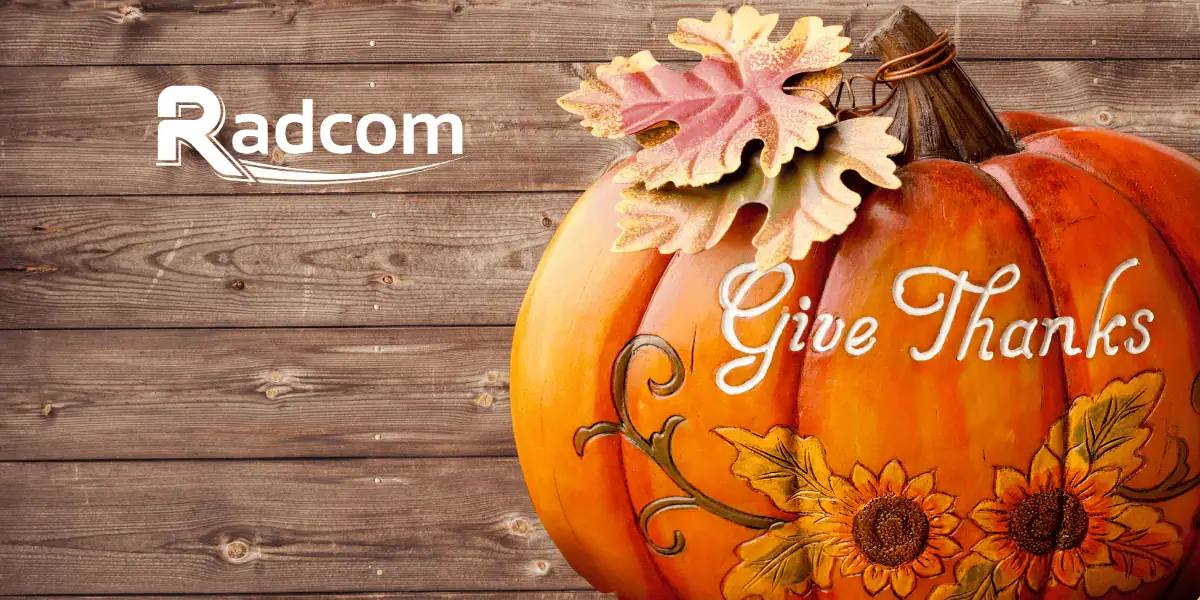 A painted pumpkin with sunflowers and leaves, featuring the words Give Thanks, sits on a wooden background. The Radcom logo appears in the upper left corner.