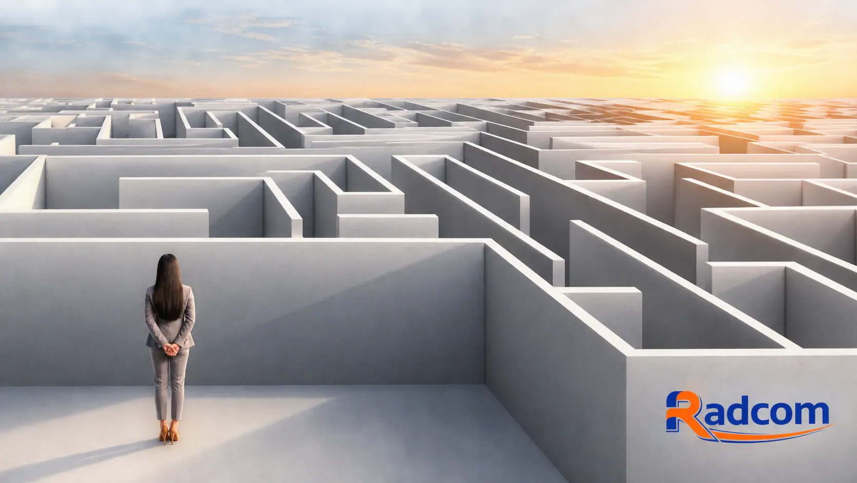 A professional faces a complex maze representing barriers to successful employee performance.